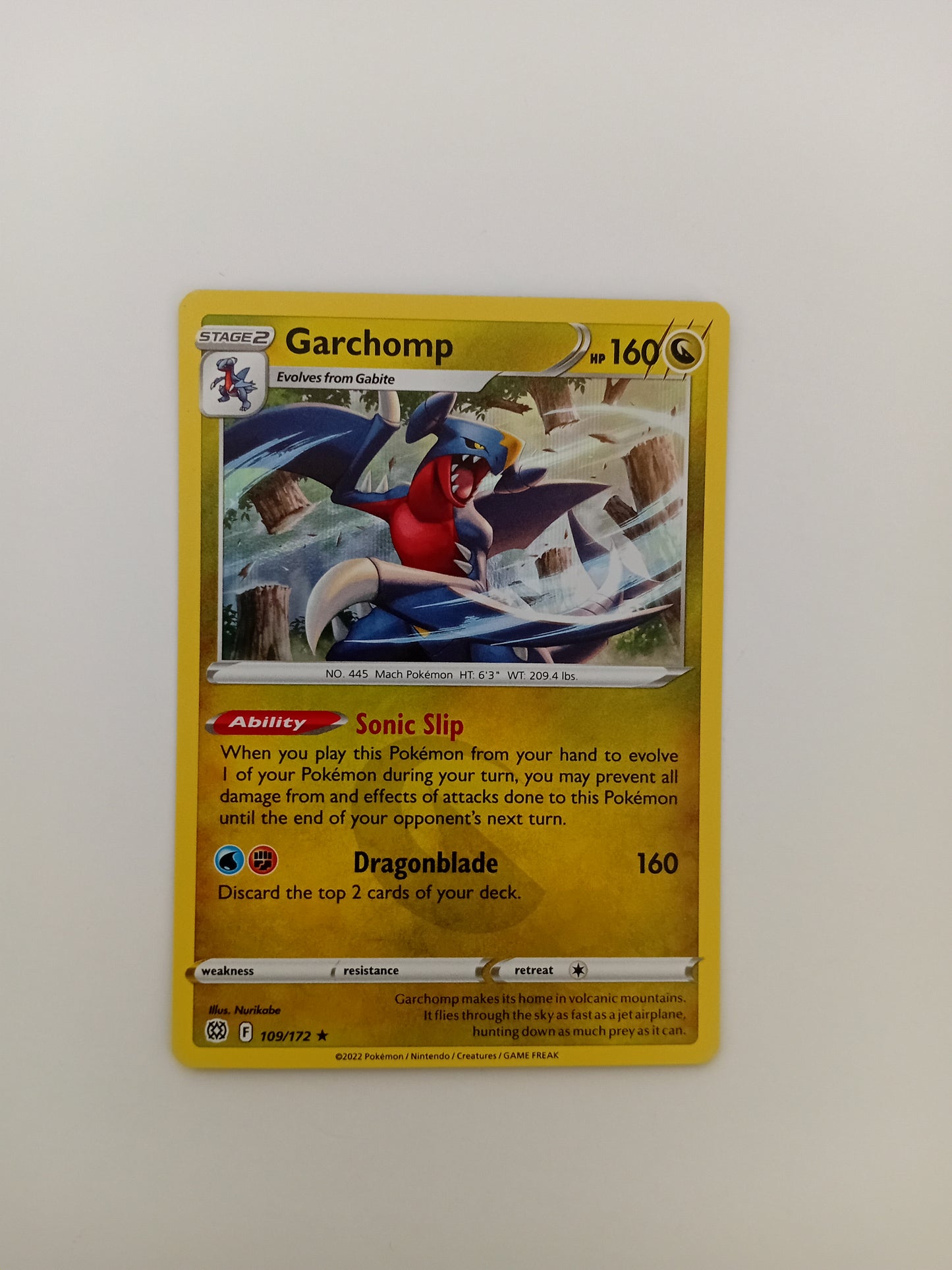 Garchomp card (holo)