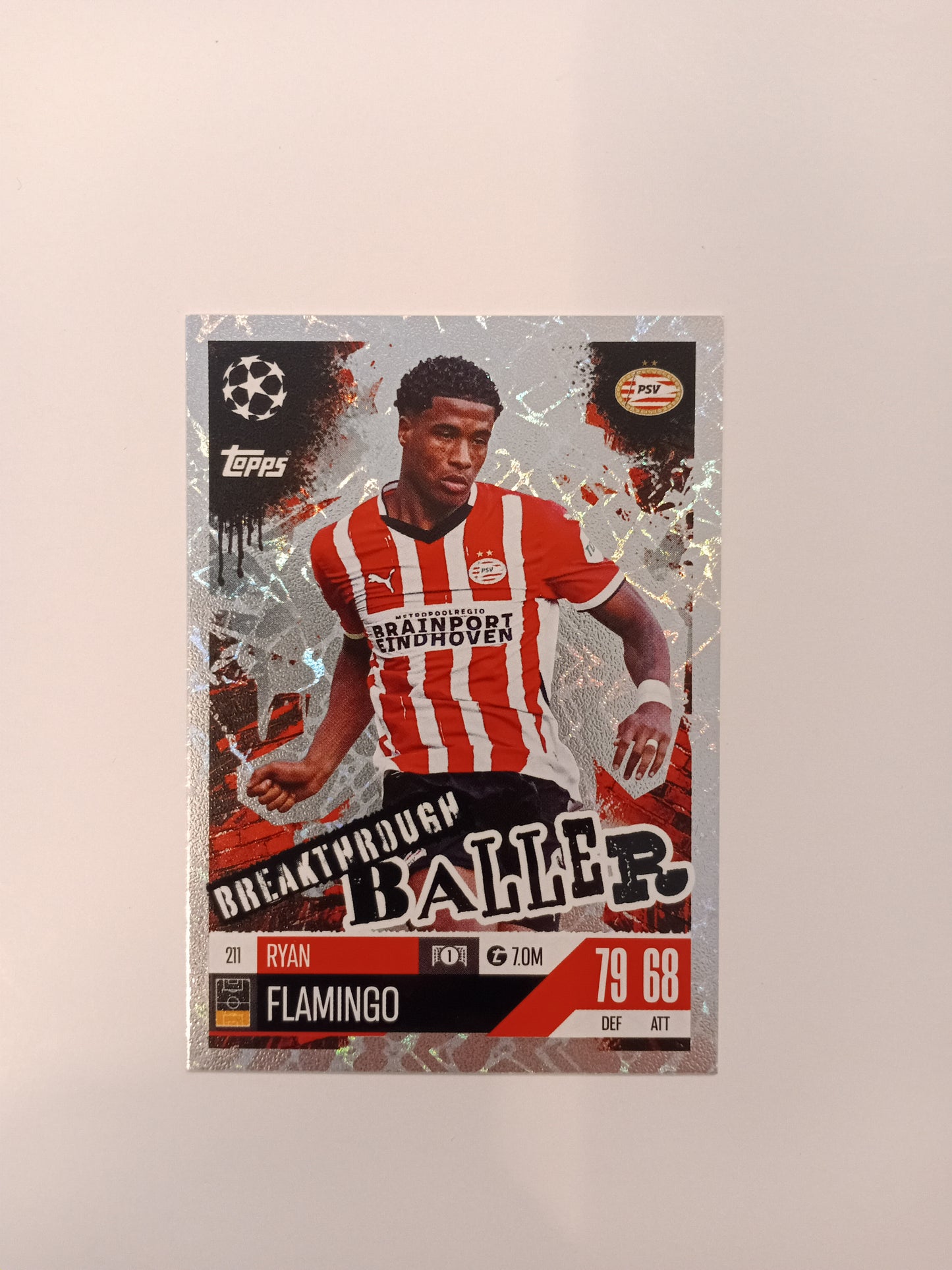 Ryan Flamingo card (holo)